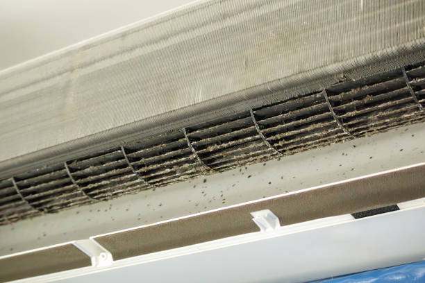 Best Professional Duct Cleaning Services  in Meadow Glade, WA