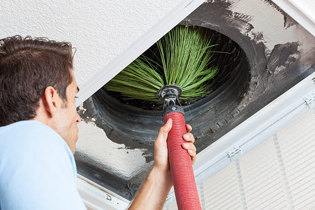 Best Emergency Air Duct Cleaning  in Meadow Glade, WA