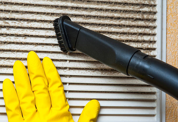 Best Air Duct Cleaning Near Me  in Meadow Glade, WA